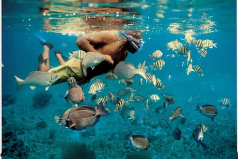 From Muscat: Dimaniyat Islands Snorkeling Tour