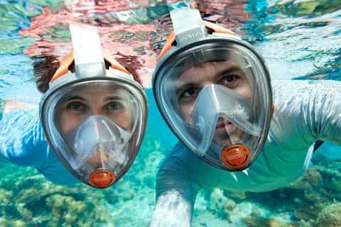 From Muscat: Dimaniyat Islands Snorkeling Tour