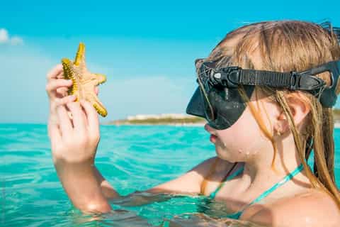 From Muscat: Dimaniyat Islands Snorkeling Tour