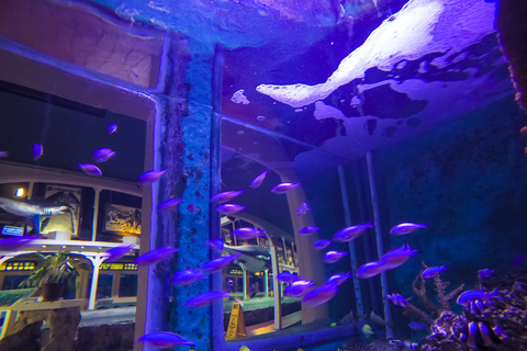 Key West Aquarium Tickets Standard Option