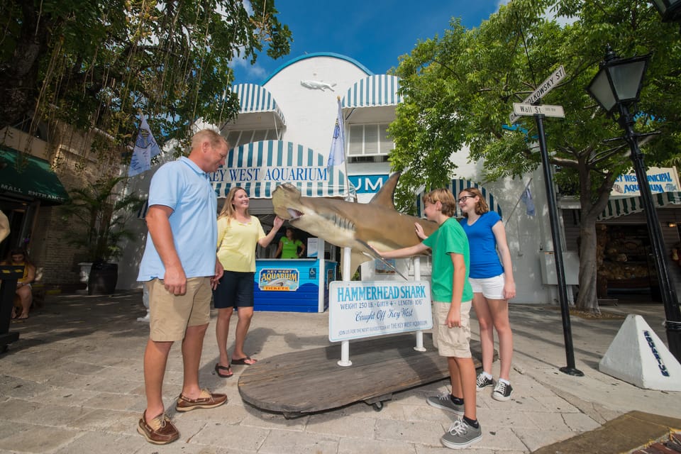 Key West Aquarium Tickets GetYourGuide