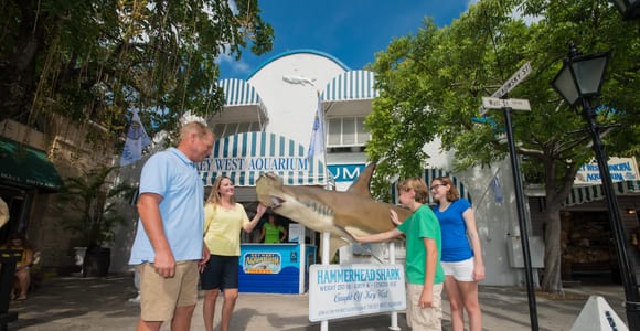 A family of four standing outside a striped awning entrance, two of them touching the mounted body of a hammerhead shark on a display stand