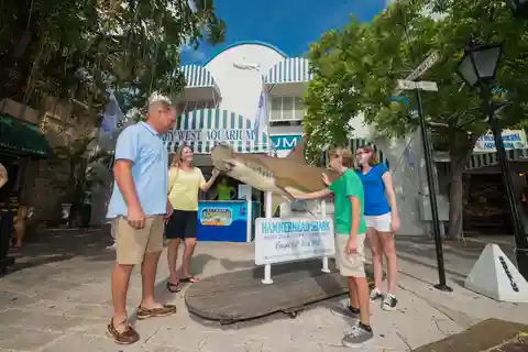 Key West Aquarium Tickets