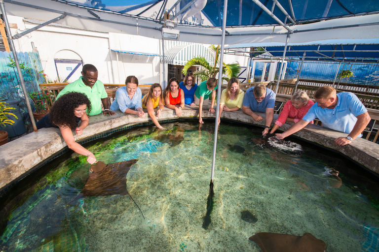 Entradas para el Acuario de Cayo HuesoOpción Estándar