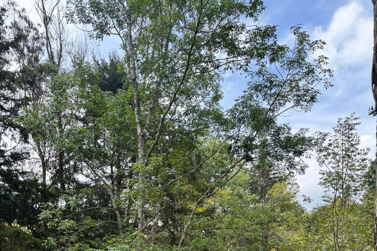 Medellín: ATV Tour through the Mountains and to a Waterfall Medellín: ATV Tour through Mountains and Waterfall