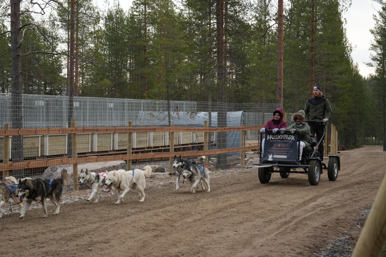 Full day: Reindeer Farm, Santa Claus Village & Husky Park