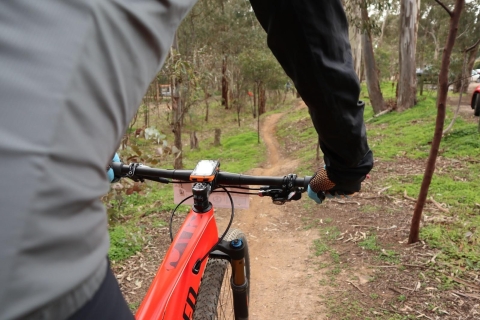 Melbourne: 1-tägiges Mountainbike-Abenteuer mit Mittagessen