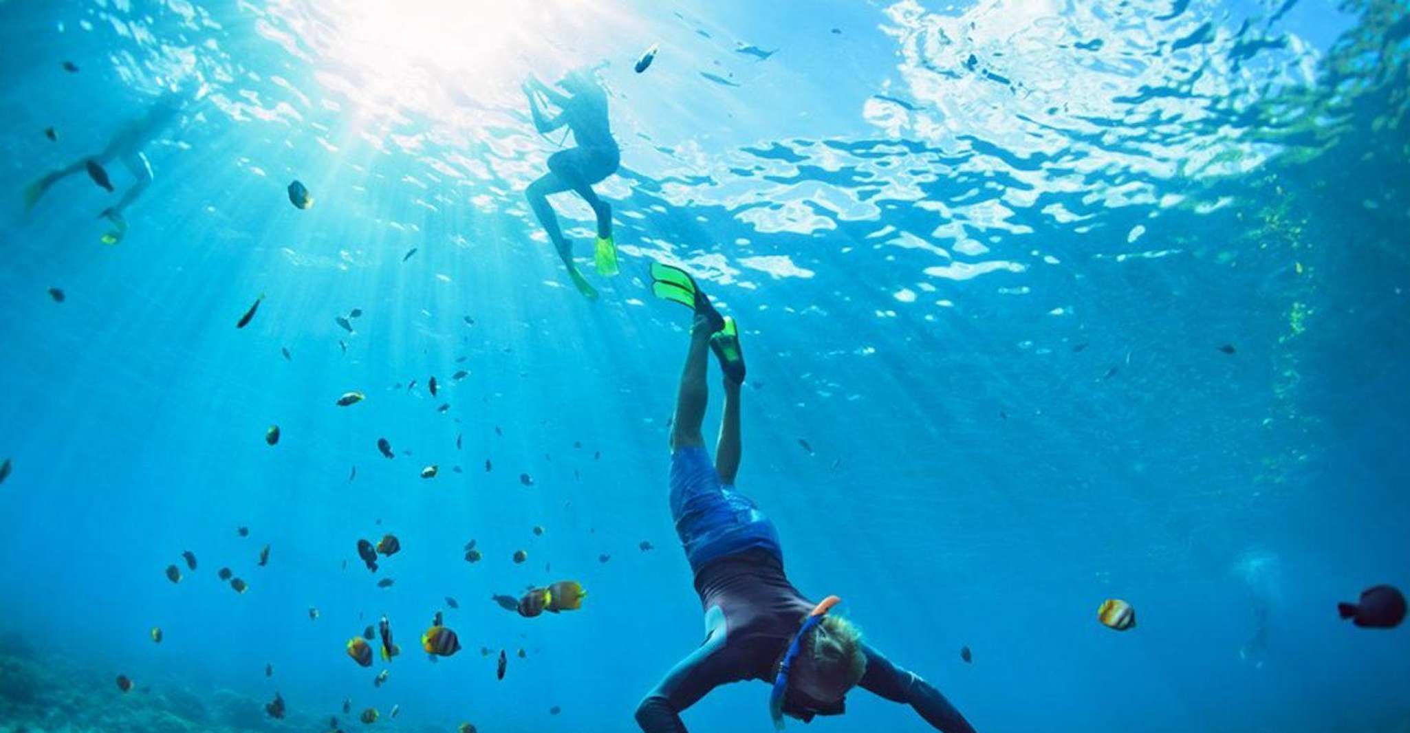 Phuket, Phi Phi Island Sunrise Group Speedboat Tour - Hizvo