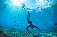 Phuket, Phi Phi Island Sunrise Group Speedboat Tour - Hizvo