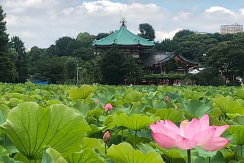 Privat arkitekturvisning i Ueno ParkPrivat arkitekturtur i Ueno Park