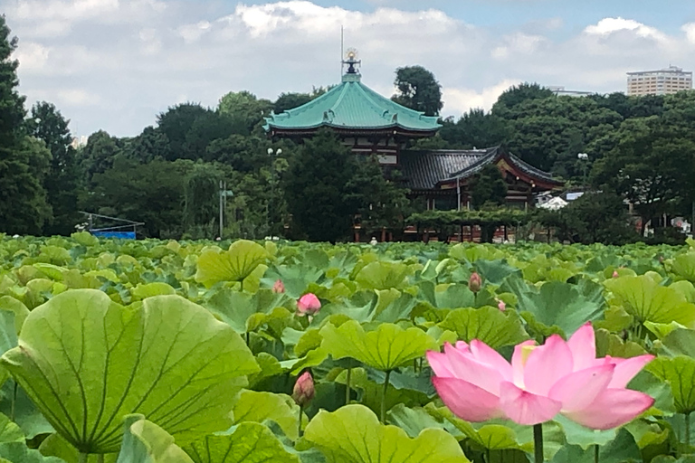 Private Ueno Park Architecture Tour