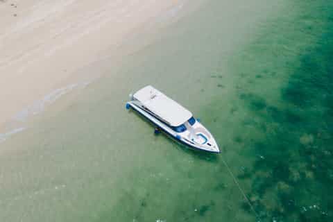 Phuket: Phi Phi Island Luxury Sunrise Tour