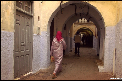 من إشبيلية: جولة لمدة يوم كامل إلى طنجة