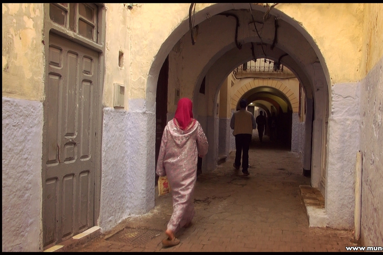 من إشبيلية: جولة لمدة يوم كامل إلى طنجة