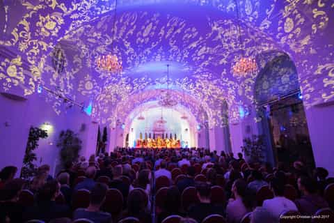 Avond bij het Schönbrunnpaleis: rondleiding, diner & concert