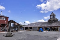 De Puerto Varas ou Puerto Montt, Chiloé Island Tour - Housity