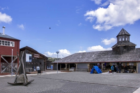Desde Puerto Varas o Puerto Montt: Excursión a la Isla de ChiloéTour de la isla Chiloé: desde Puerto Montt