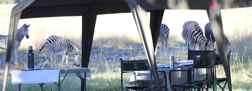 From Maun: Moremi Game Reserve Tour