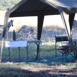 From Maun: Moremi Game Reserve Tour