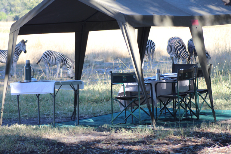 De Maun: visite de la réserve de chasse de Moremi