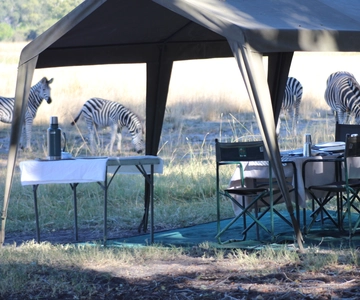 Desde Maun: Excursión a la Reserva de Caza de Moremi