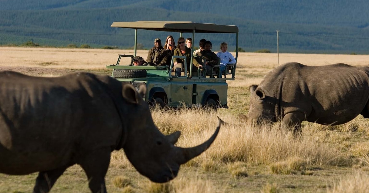 Plettenberg Bay Game Reserve 2 Hour Game Drive GetYourGuide