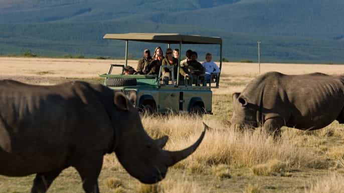 plettenberg bay game reserve 2hour game drive