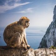 De Sevilha: Excursão de 1 Dia a Gibraltar