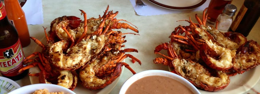 Route des vins de base : Vallée de Guadalupe, Basse-Californie