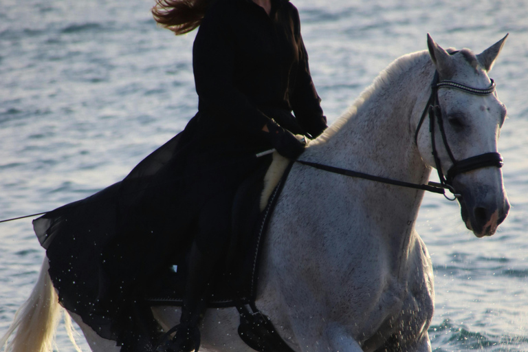 Aruba: Hidden Desert & Ocean Horseback Adventure Western Ride