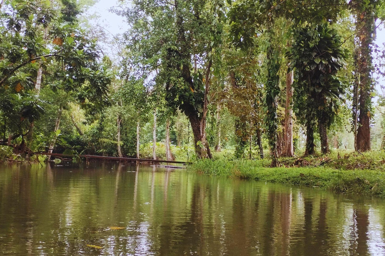 Private Kayaking Adventure: a 2-hour Wildlife Escape Self-Guided Kayaking Adventure: a 2-hour Wildlife Escape