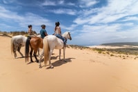 Algarve, 1-uur Carrapateira Horse Riding Tour - Housity