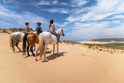Algarve: Carrapateira-paardrijtocht van 1,5 uur