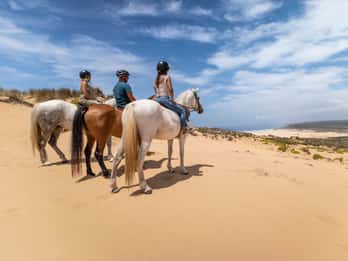 Algarve: 1-Hour Carrapateira Horseback Riding Tour
