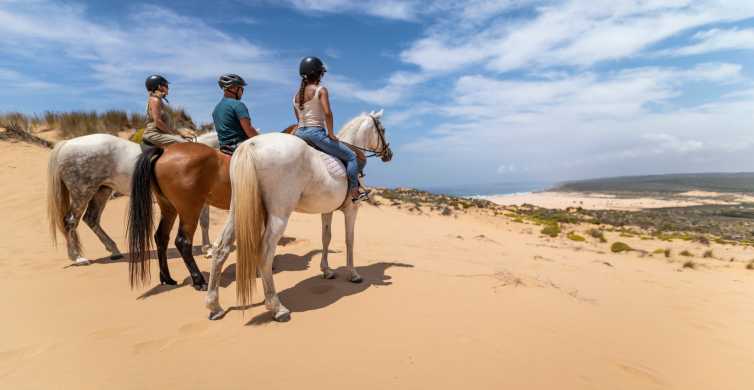 Algarve: 1-Hour Carrapateira Horseback Riding Tour