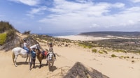 Algarve, 1-uur Carrapateira Horse Riding Tour - Housity