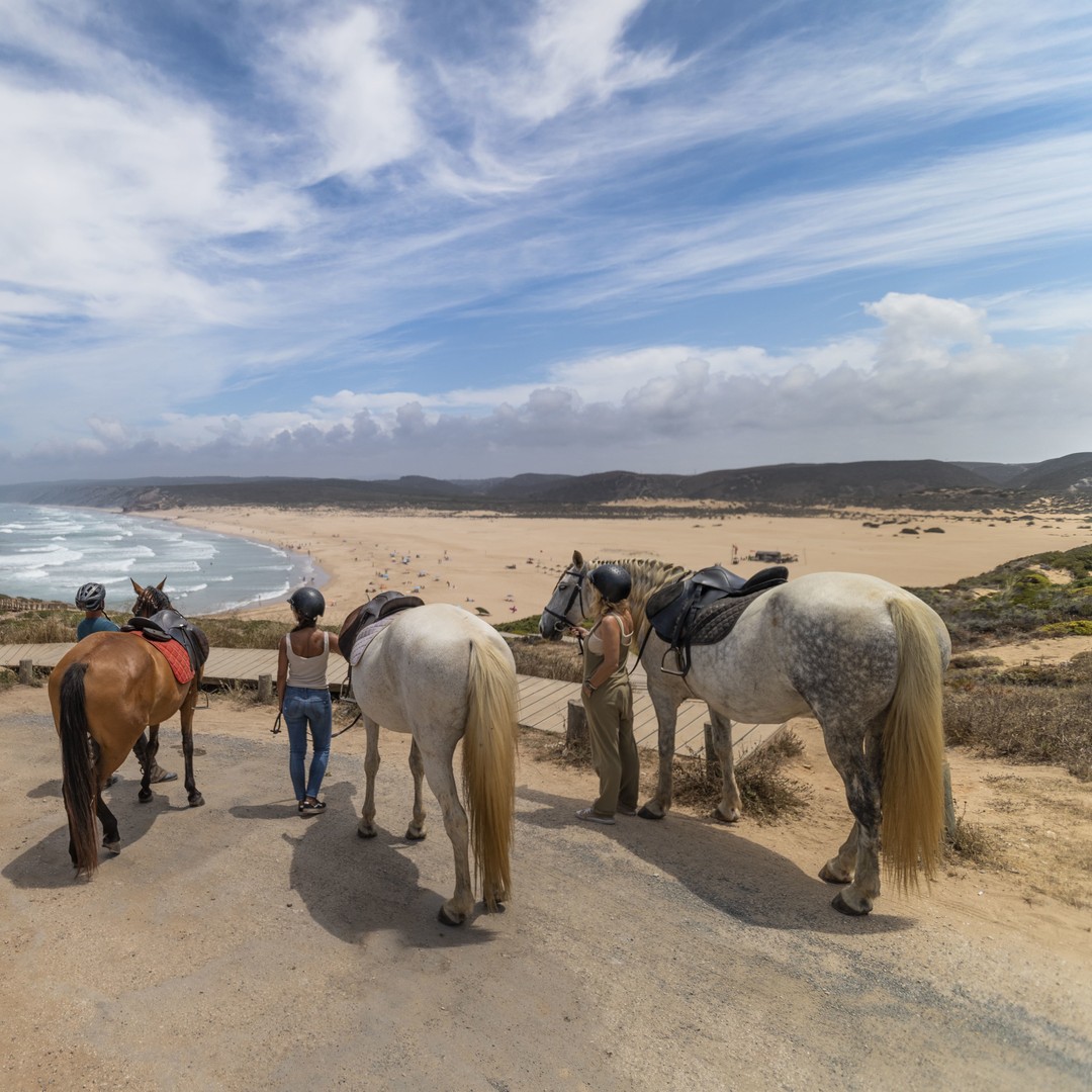 Algarve: 1-Hour Carrapateira Horseback Riding Tour | GetYourGuide