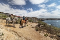 Algarve, 1-uur Carrapateira Horse Riding Tour - Housity