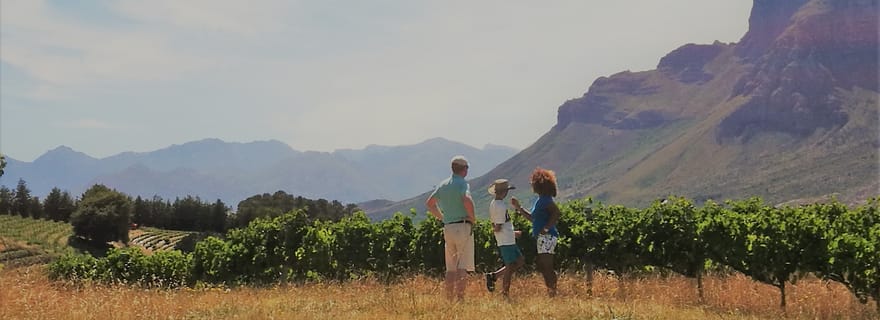 Stellenbosch : 4x4 Winelands Private Experience