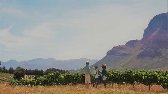 stellenbosch 4x4 winelands private experience