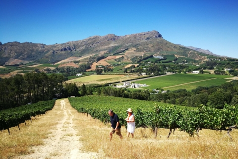 Stellenbosch: 4x4 Winelands Private ExperienceOphalen in Stellenbosch
