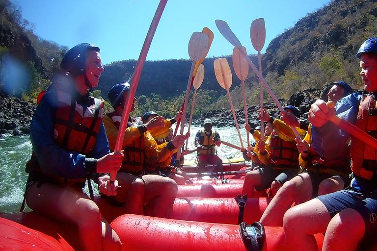 Fleuve Zambèze : rafting en eaux vives adapté aux enfantsDepuis les chutes Victoria : rafting en eau vive adapté aux enfants