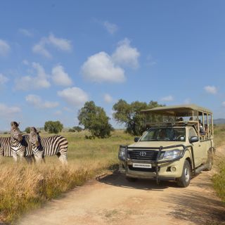 Hartbeespoort: Passeio Lion and Safari Park