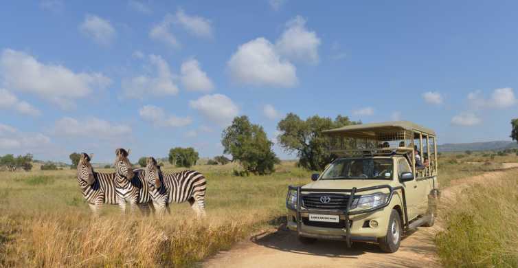 Hartbeespoort Lion and Safari Park Tour GetYourGuide
