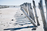 Aus Avignon, Camargue - Hizvo