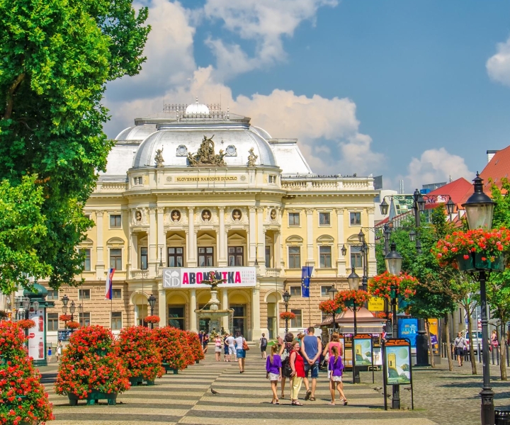 Bratislava: Visita privada a pie