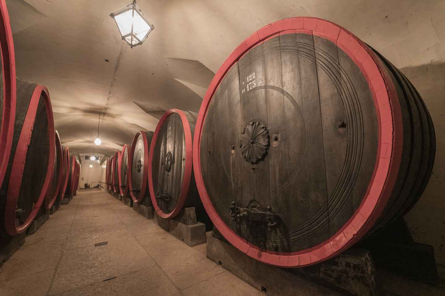 Valpolicella: Leiðsögn og vínsmökkun á Amarone Chateau