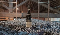 Valpolicella, Amarone Chateau Guided Tour and Wine Tasting - Housity