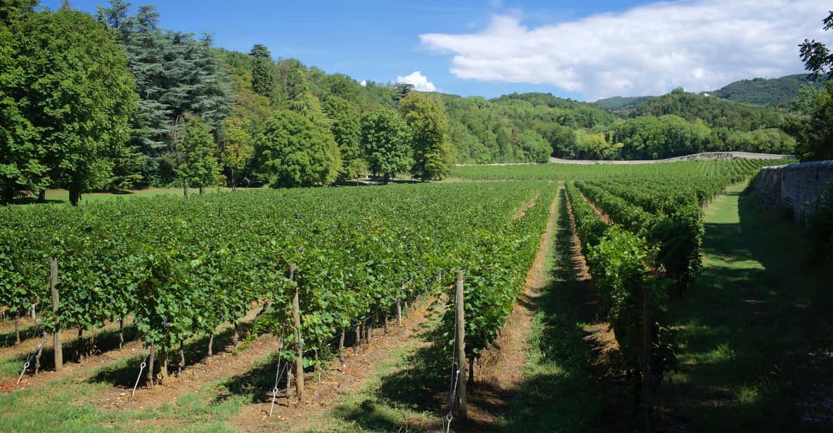 Valpolicella: Bertani Family Estate Tour and Wine Tasting