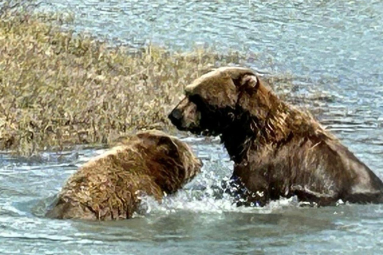 Anchorage: Wildlife Conservation Center & Portage Valley